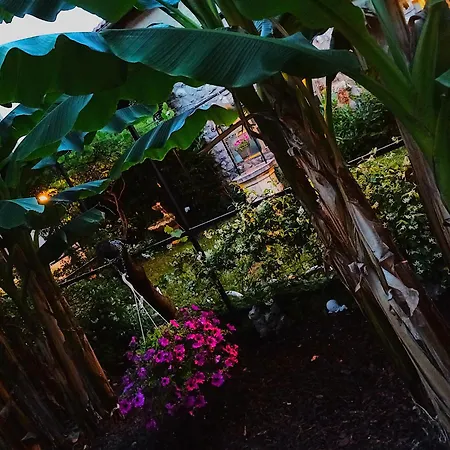 דירה Harbor 3 אופטיה